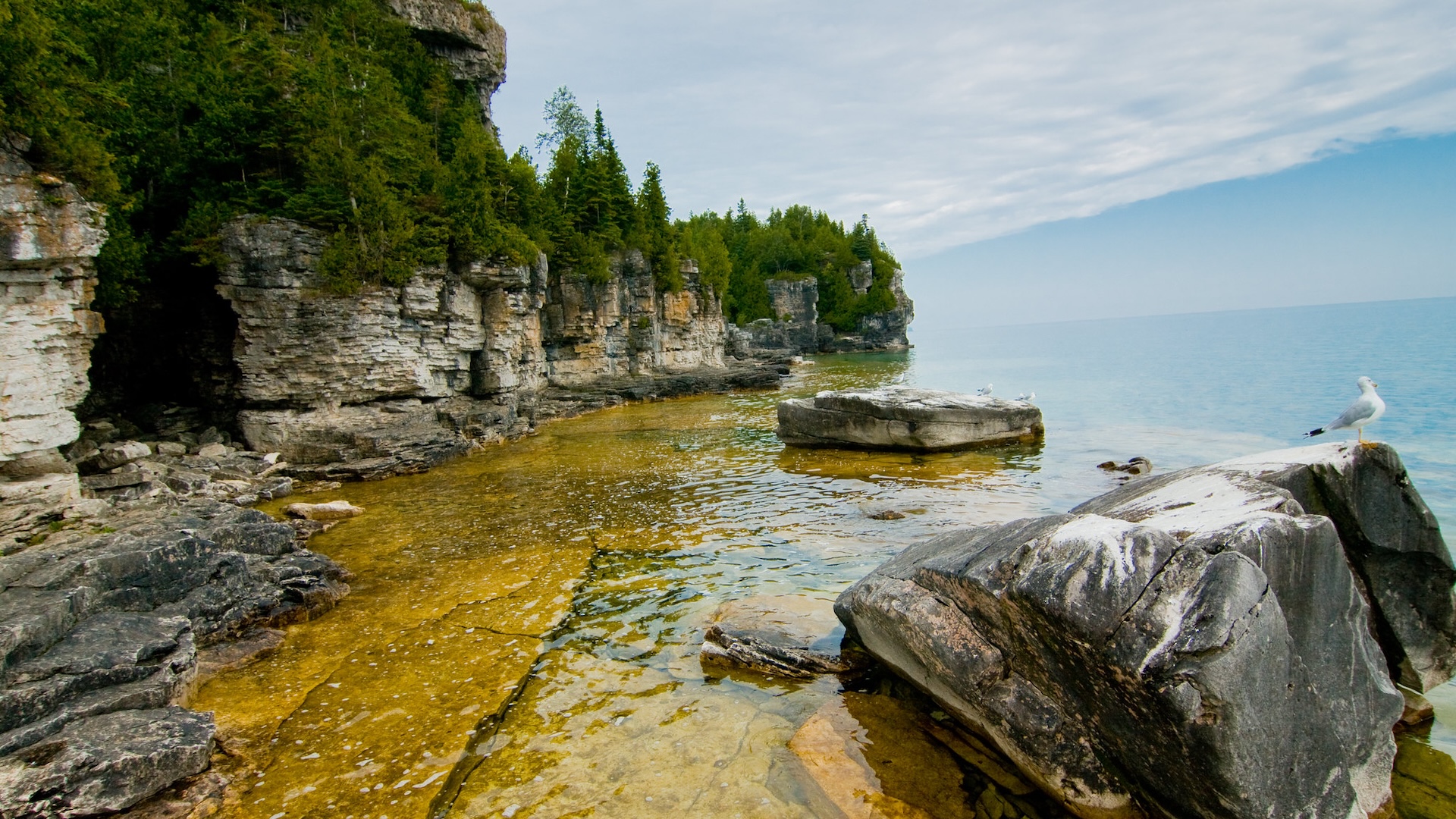 brucepeninsula