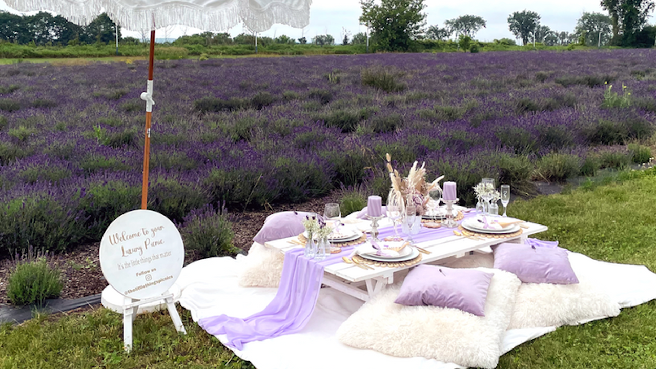 lavenderpolo