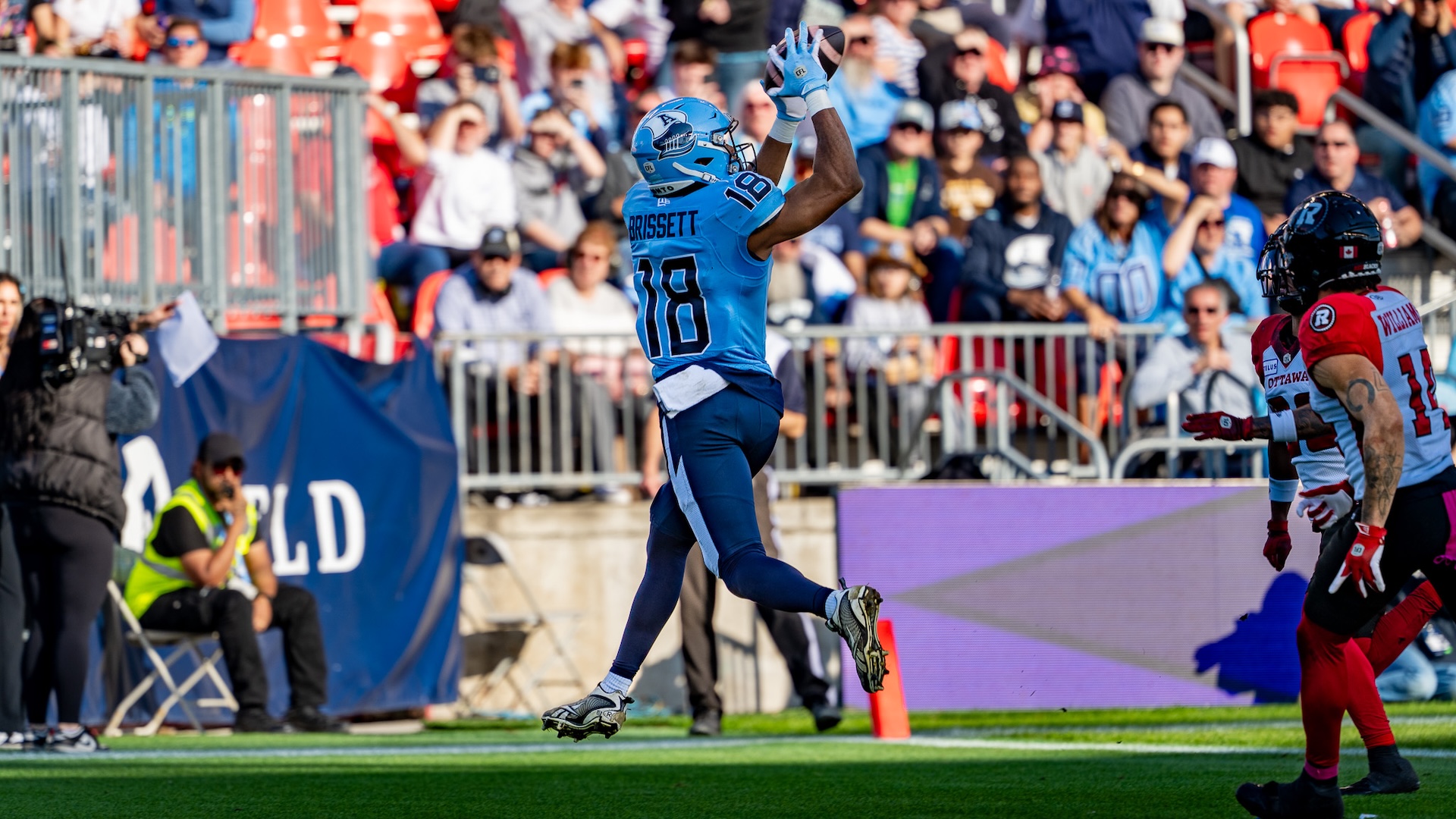 argosdejonbrissett
