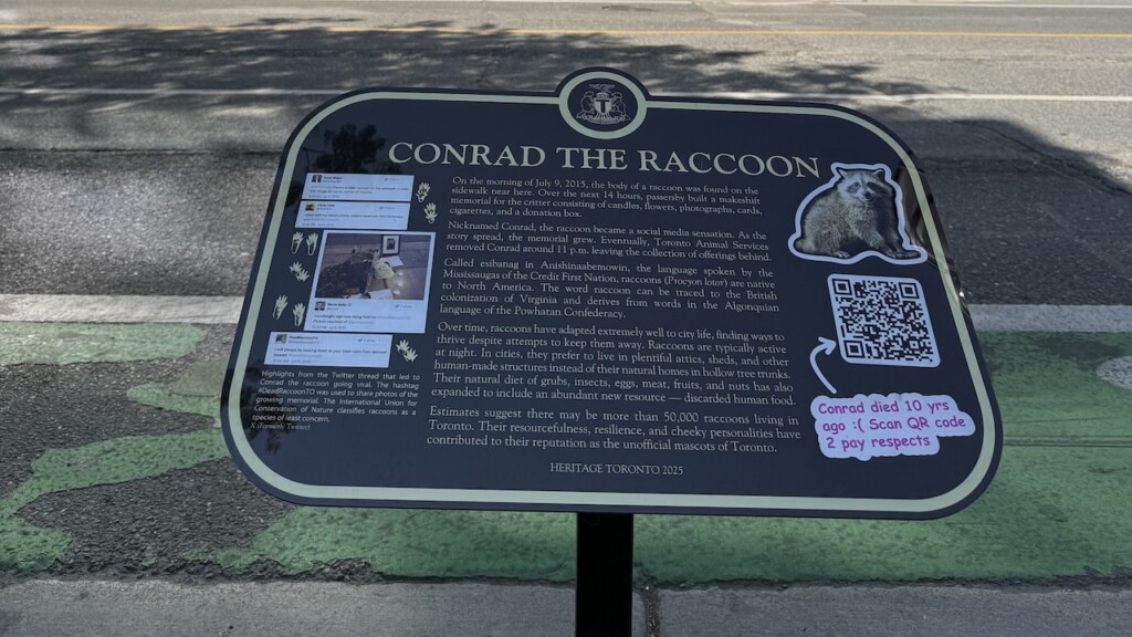 Conrad the Raccoon memorial