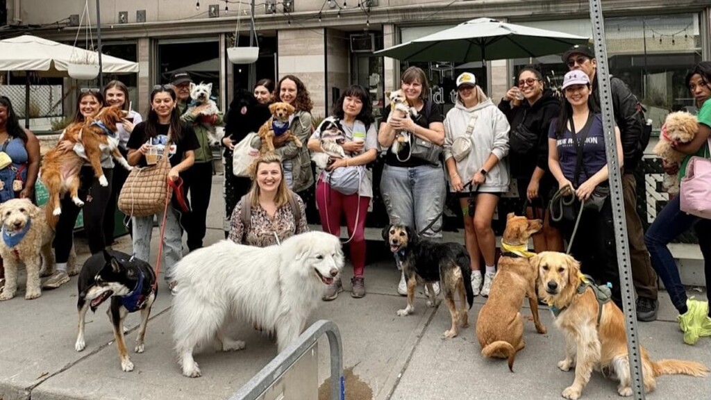 pawswalk