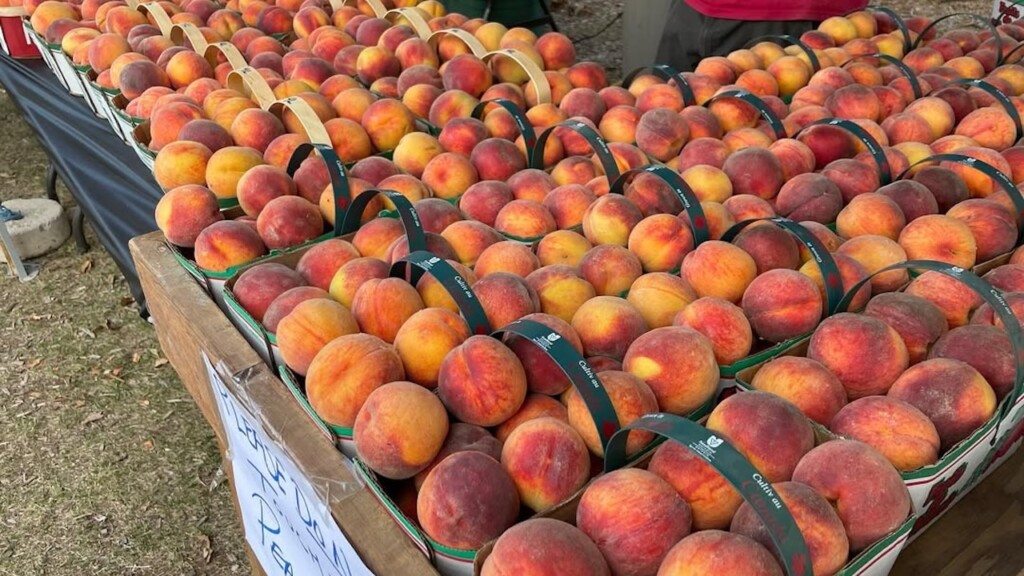 peachfest