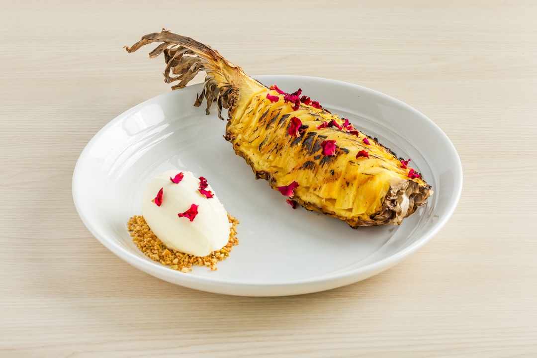 2 1311250 social llama Food barbeque pineapple