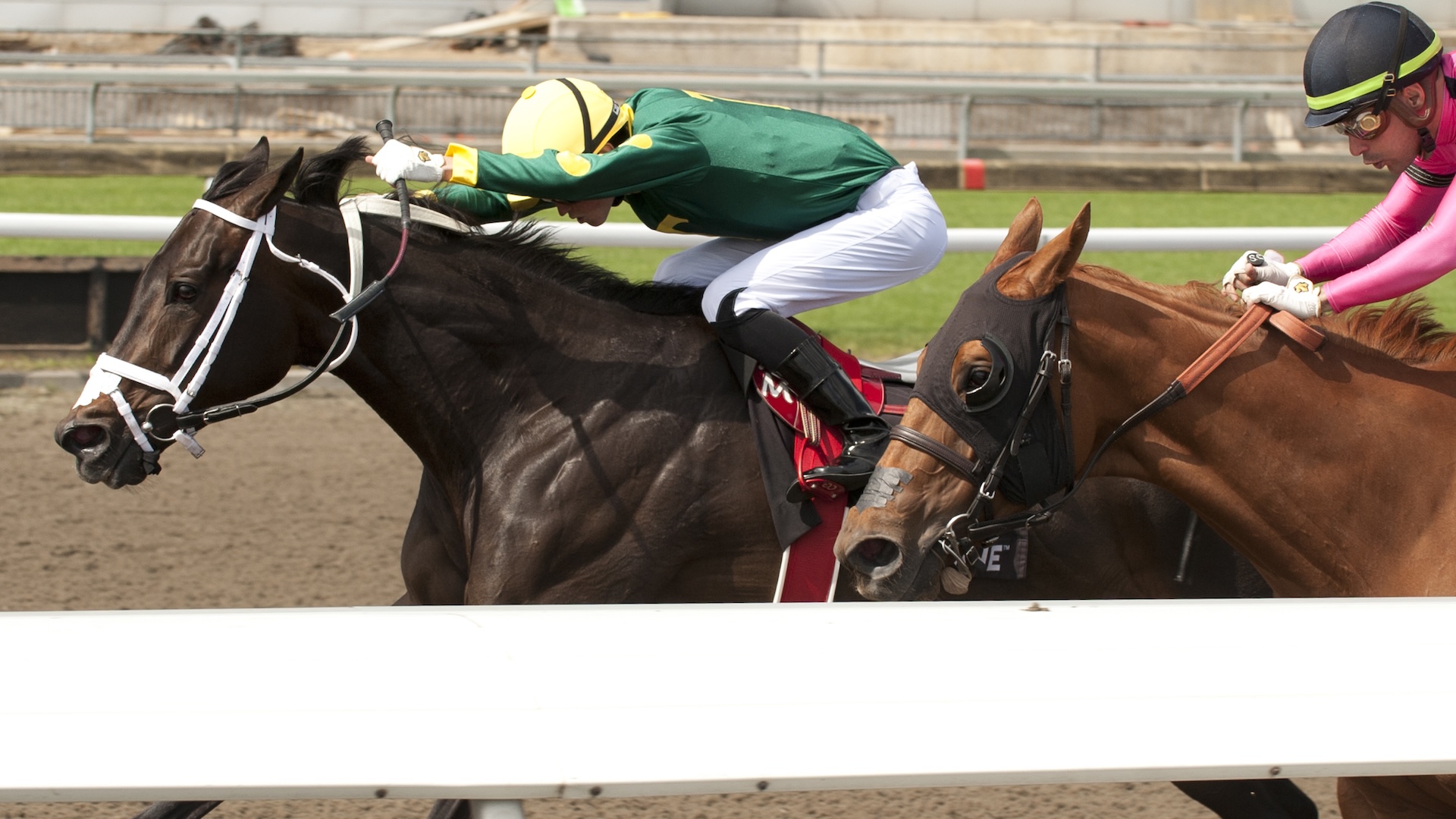 Toronto,ON Woodbine Racetrack June 1 2024 Jockey Pietro Moran captures 1st lifetime stakes win aboard Fashionably Fab for owner Terra Racing Stable and trainer Kevin Attard in the world $135,000 dollar Belle Mahone Stakes at Woodbine Woodbine/ Michael Burns Photo