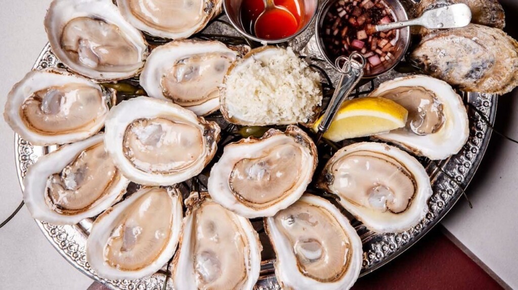 oysters