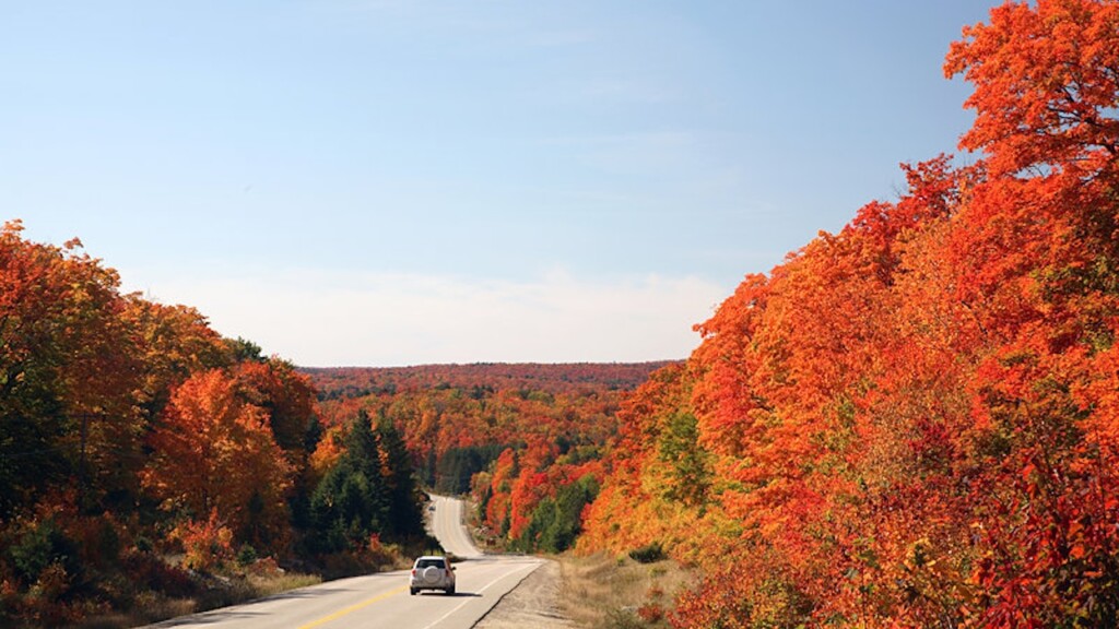 Algonquin view 01