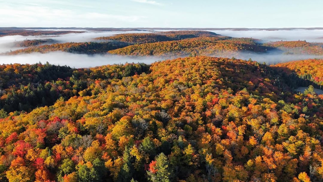 algonquin aerial