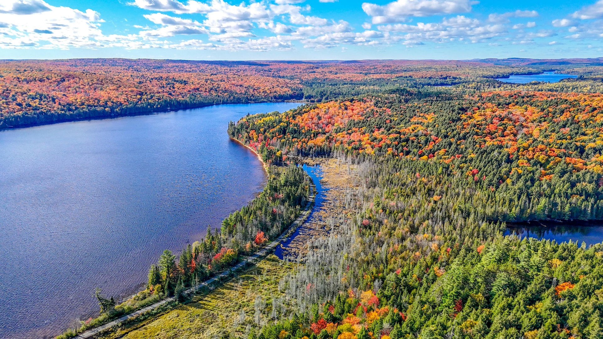 algonquin park