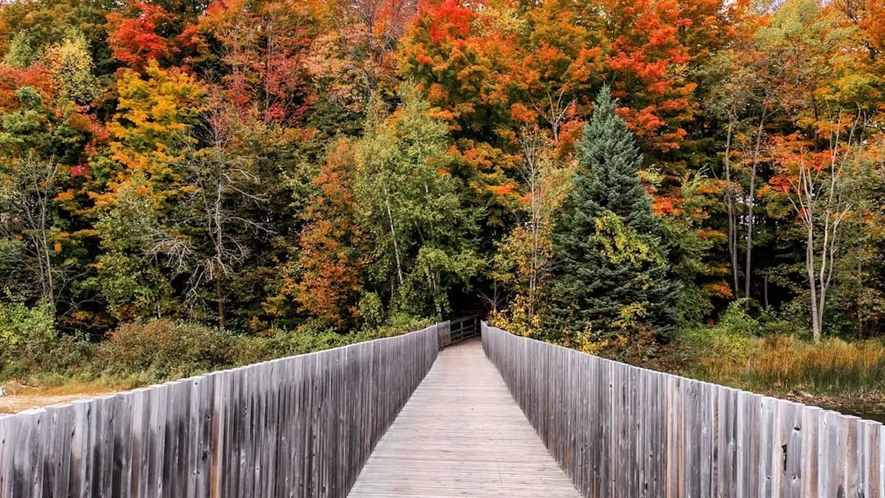 island lake conservation area