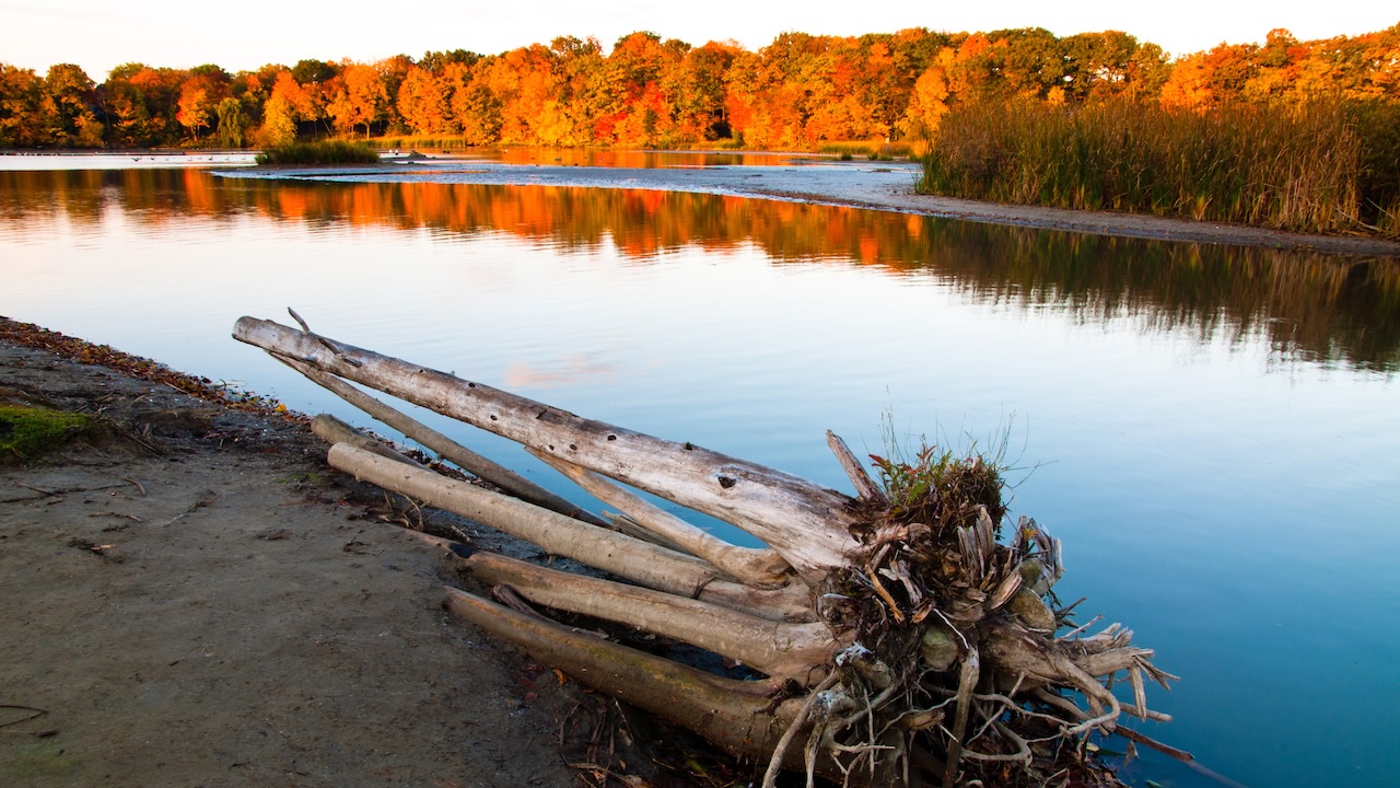 Rouge Park (photo: Ed Riley)