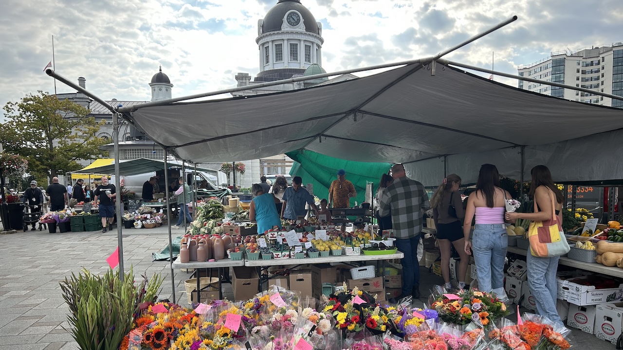 Farmer's Market day in Kingston with city hall looming in the background