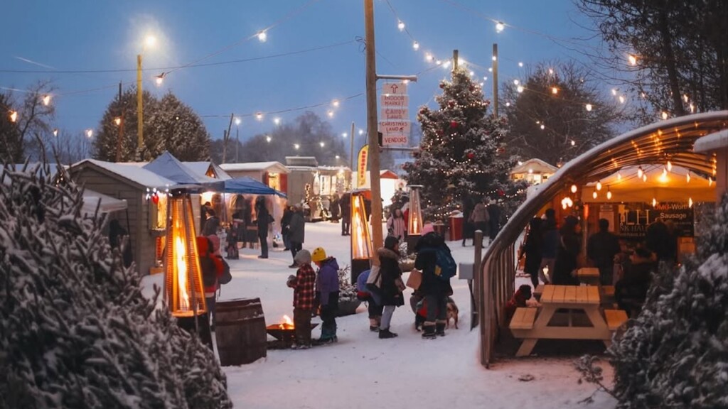 niemi market christmasontario