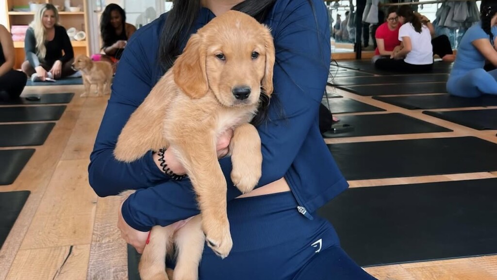 puppy yoga