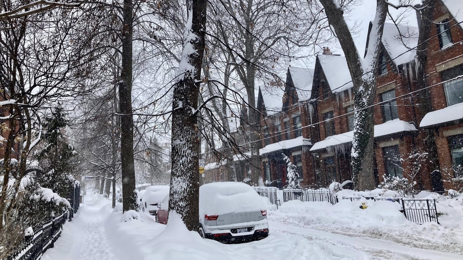 cabbagetownwinter
