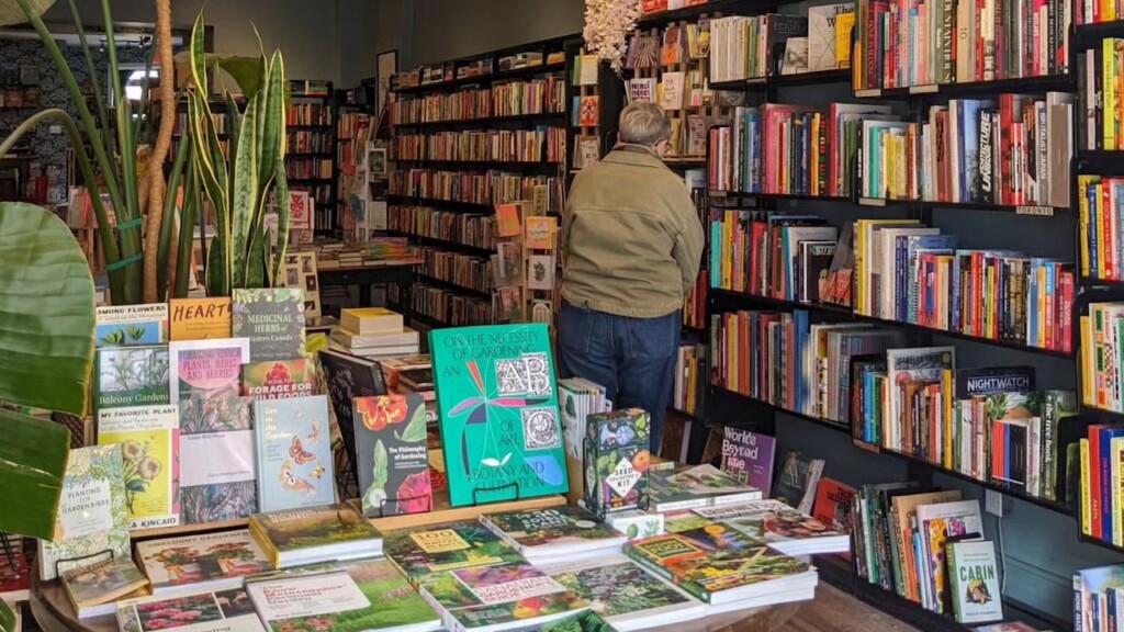 queenbooks store