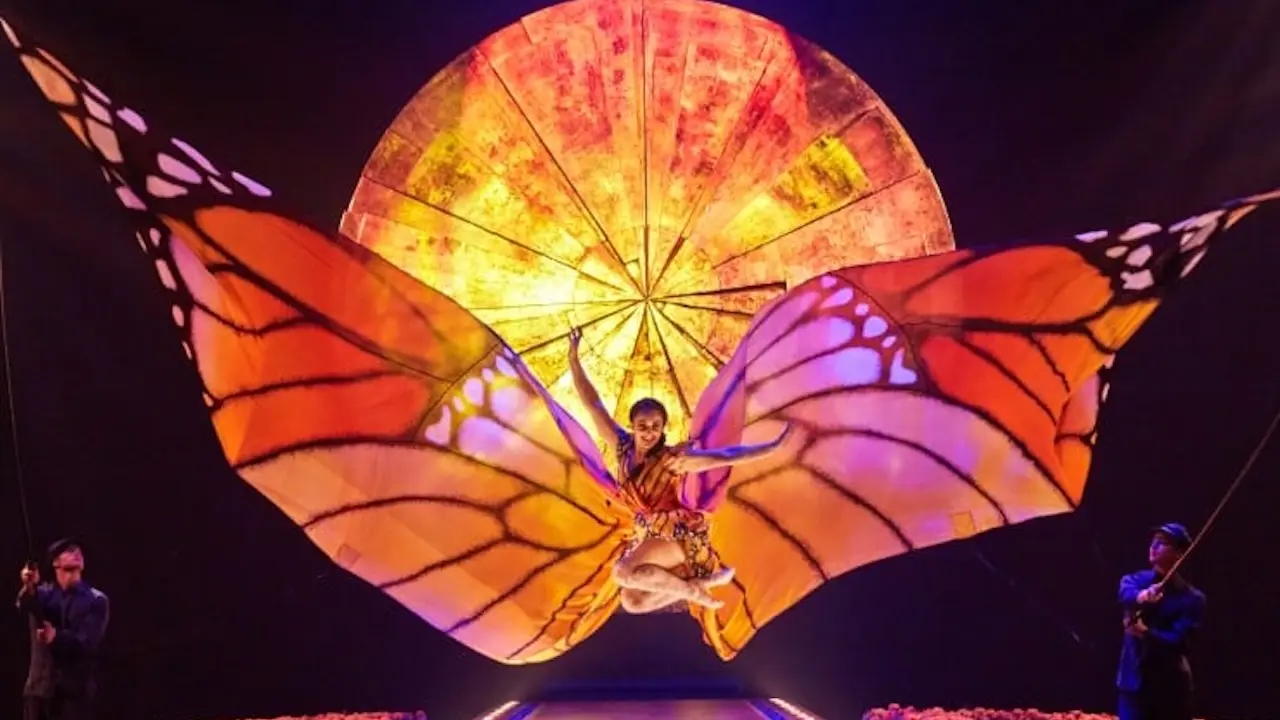cirque du soleil luzia