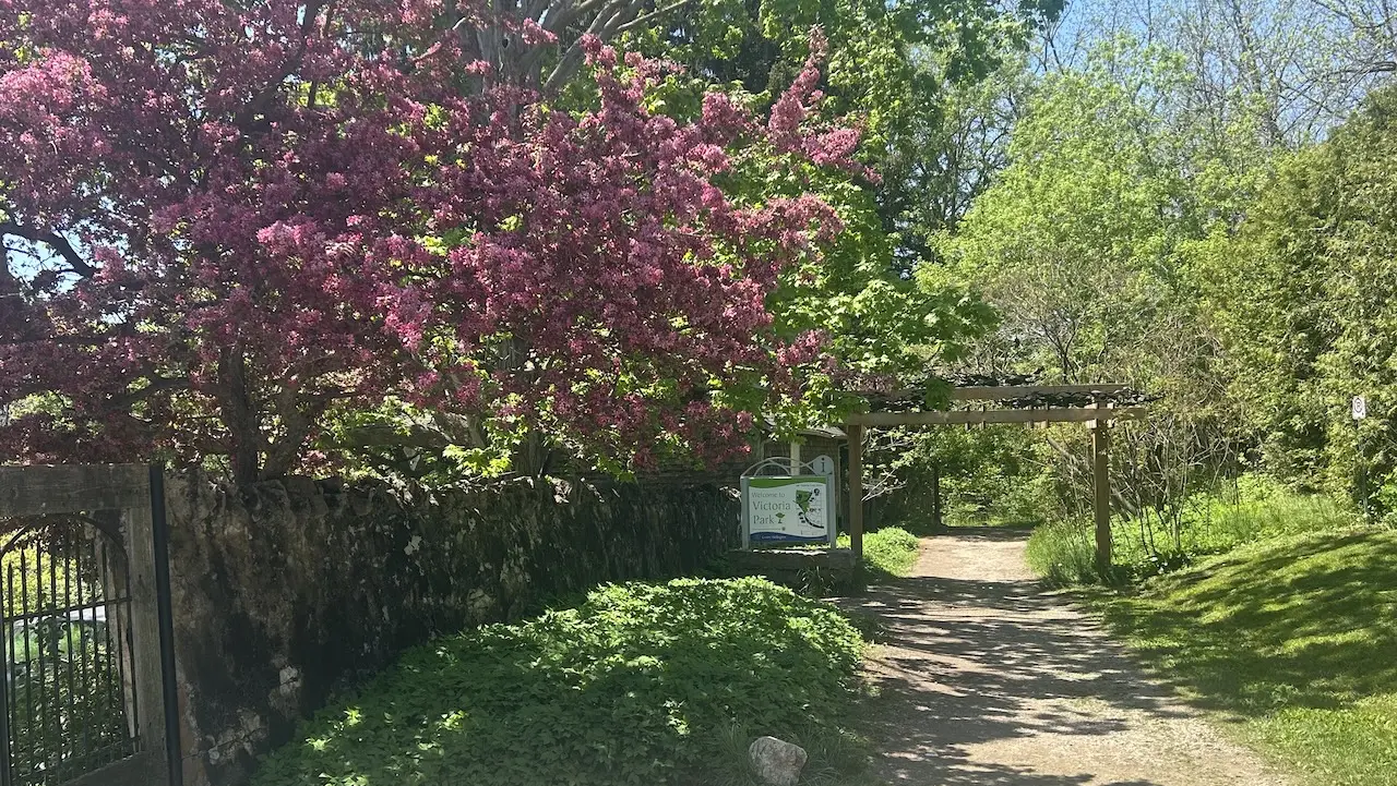 Victoria Forest, Elora
