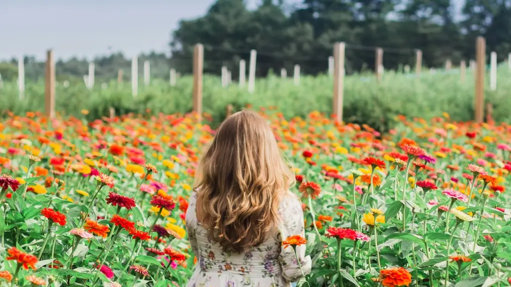 Flower farms near Toronto