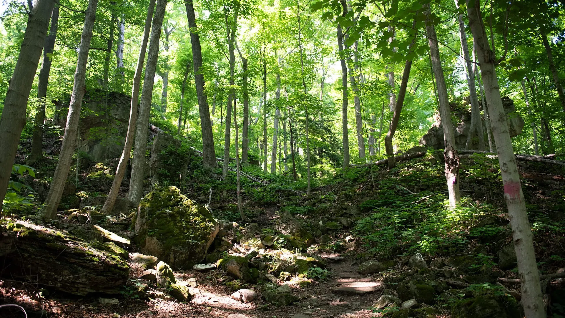 niagara glen