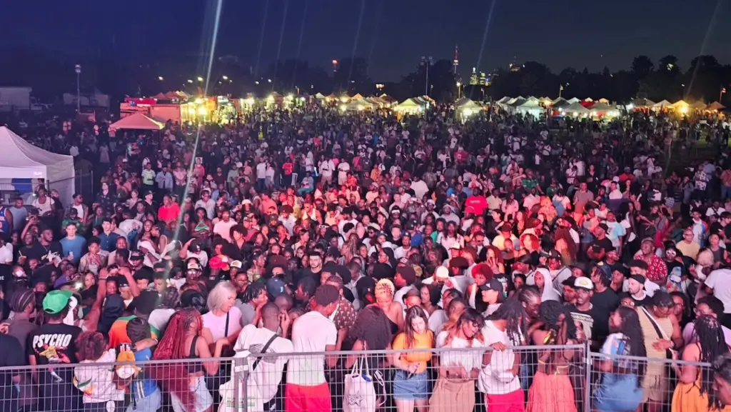The crowds at Afrofrest Toronto