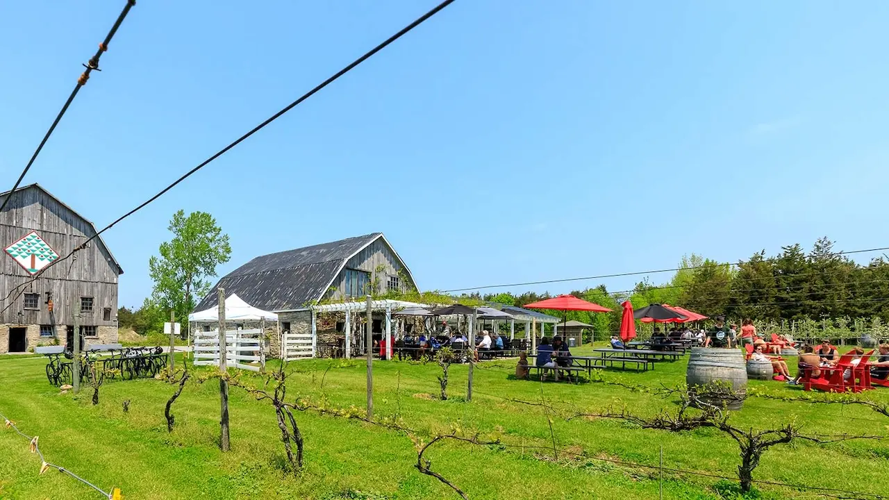 county cider company pec