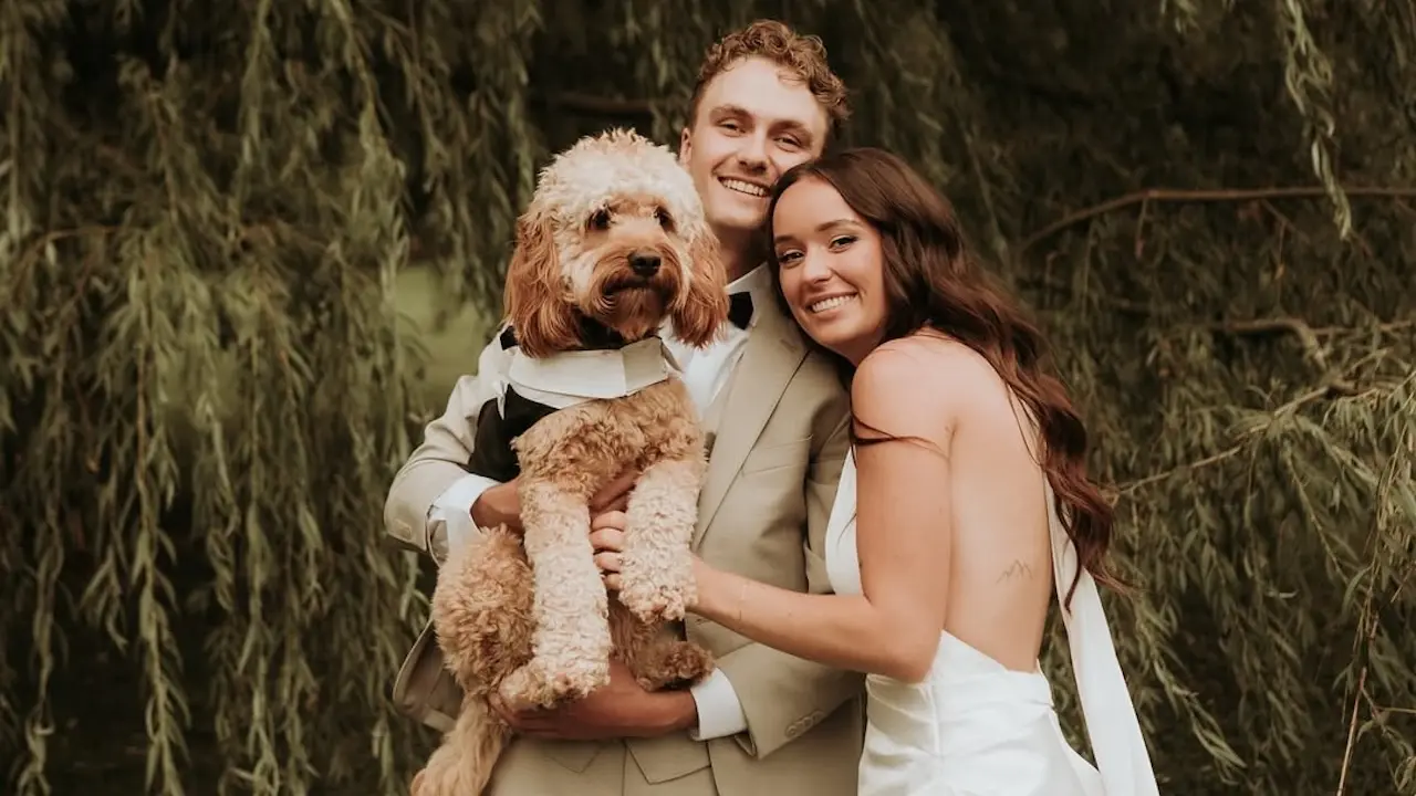 owen riegling dog